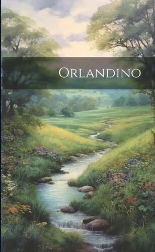 Orlandino av Anonymous (Paperback)