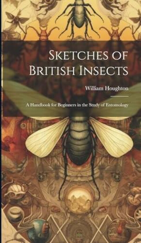 Sketches of British Insects; a Handbook for Beginners in the Study of Entomology av William Houghton (Hardcover)