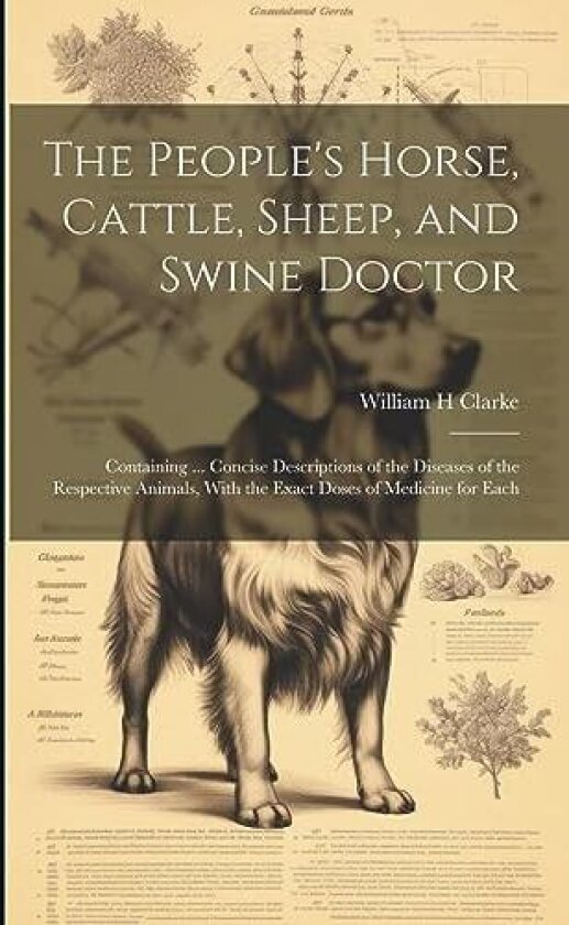 The People's Horse, Cattle, Sheep, and Swine Doctor av William H Clarke (Paperback)
