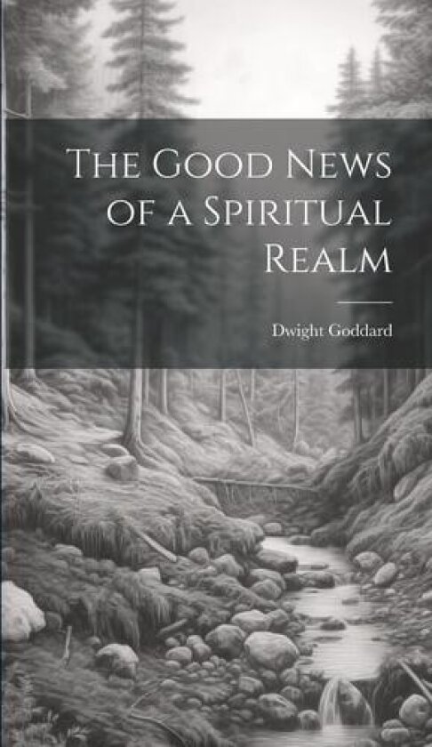 The Good News of a Spiritual Realm av Dwight Goddard (Hardcover)