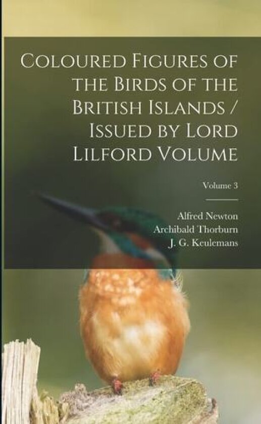 Coloured Figures of the Birds of the British Islands / Issued by Lord Lilford Volume; Volume 3 av Salvin Osbert 1835-1898, Alfred Newton (Paperback)