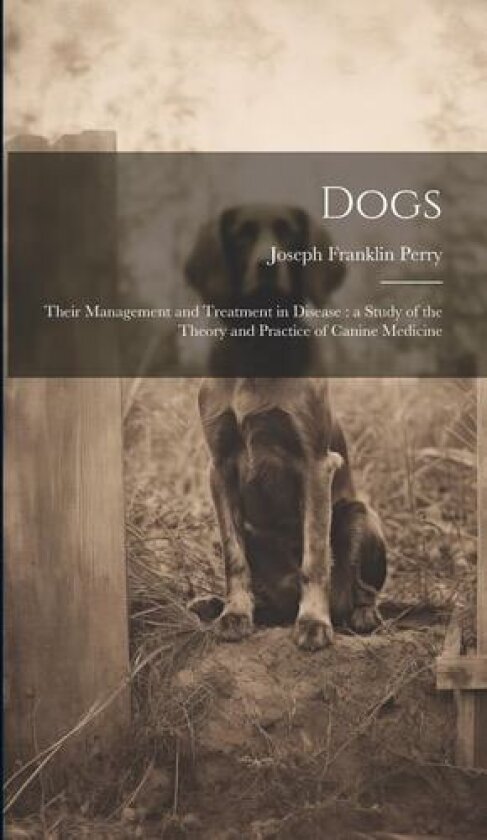 Dogs av Joseph Franklin Perry (Hardcover)