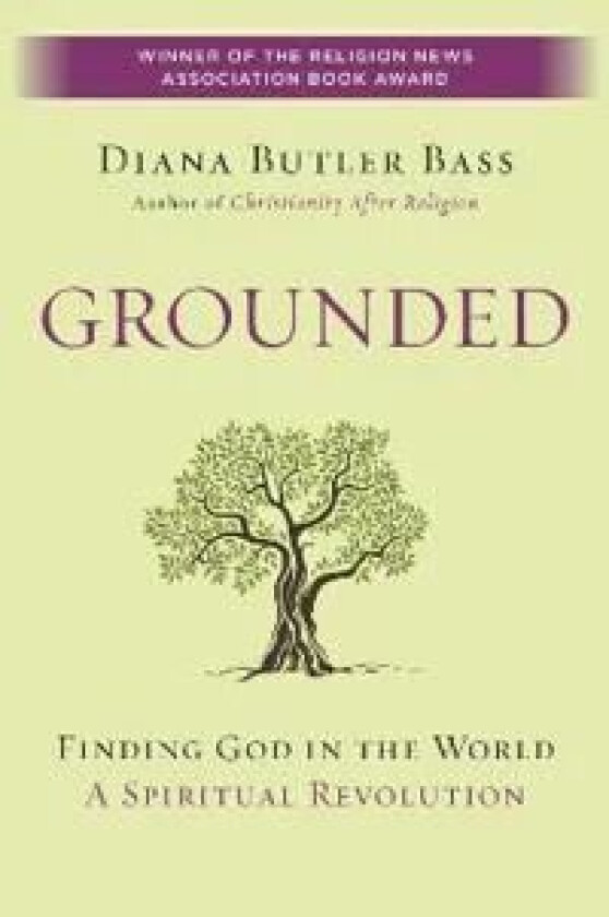 Grounded av Diana Butler Bass