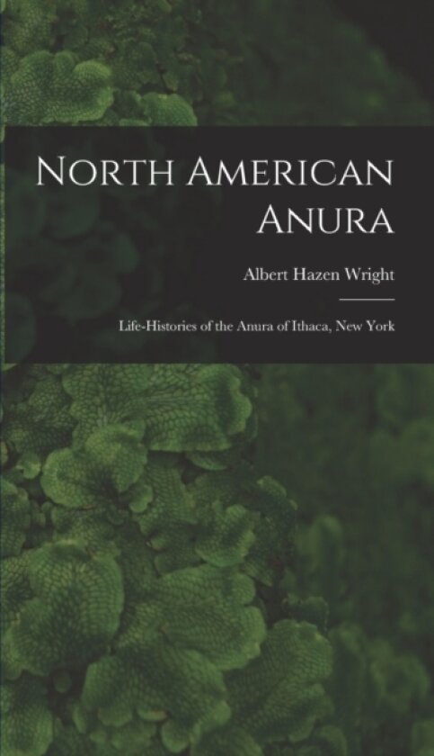 North American Anura av Albert Hazen Wright (Hardcover)