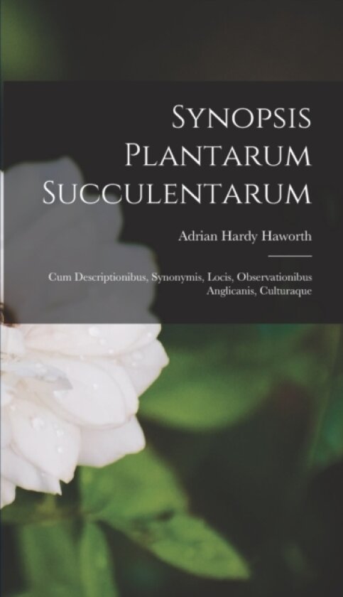 Synopsis Plantarum Succulentarum av Adrian Hardy Haworth (Hardcover)