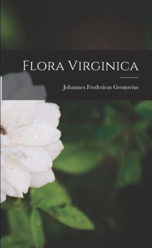 Flora Virginica av Johannes Fredericus Gronovius (Paperback)
