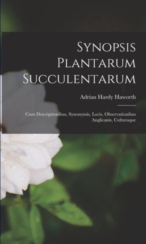 Synopsis Plantarum Succulentarum av Adrian Hardy Haworth (Paperback)