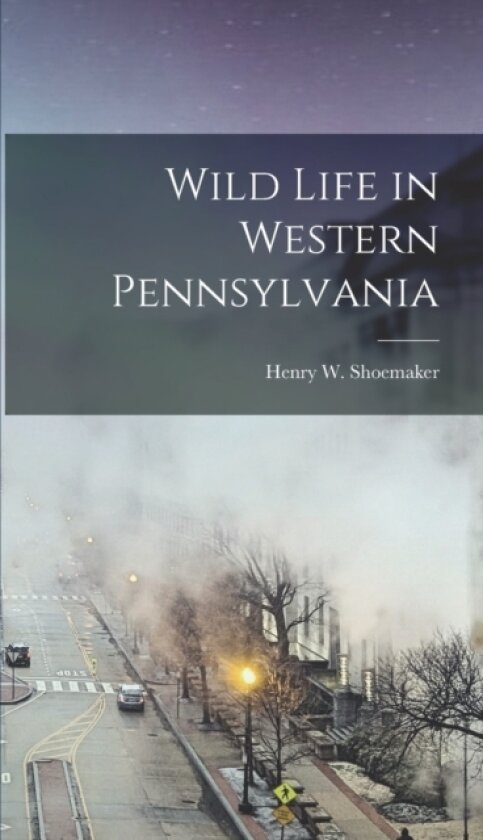 Wild Life in Western Pennsylvania av Henry W B Shoemaker (Hardcover)