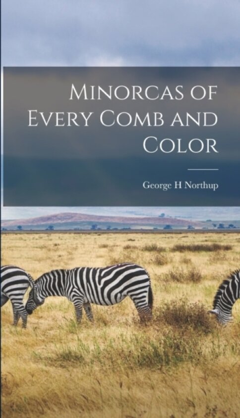 Minorcas of Every Comb and Color av George H Northup (Hardcover)