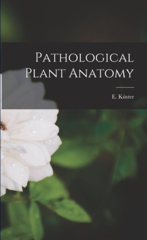 Pathological Plant Anatomy av E 1874-1953 Küster (Paperback)