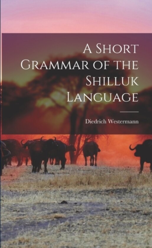 A Short Grammar of the Shilluk Language av Diedrich Westermann (Paperback)