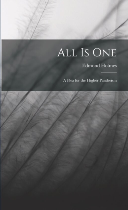 All Is One av Edmond Holmes (Paperback)