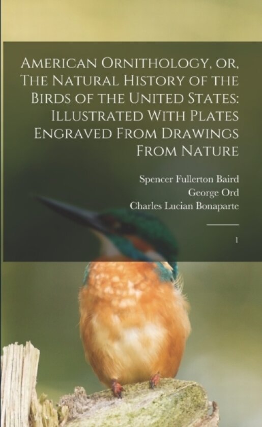 American Ornithology, or, The Natural History of the Birds of the United States av Alexander Wilson, Charles Lucian Bonaparte, Spencer Fullerton Baird (Paperback)