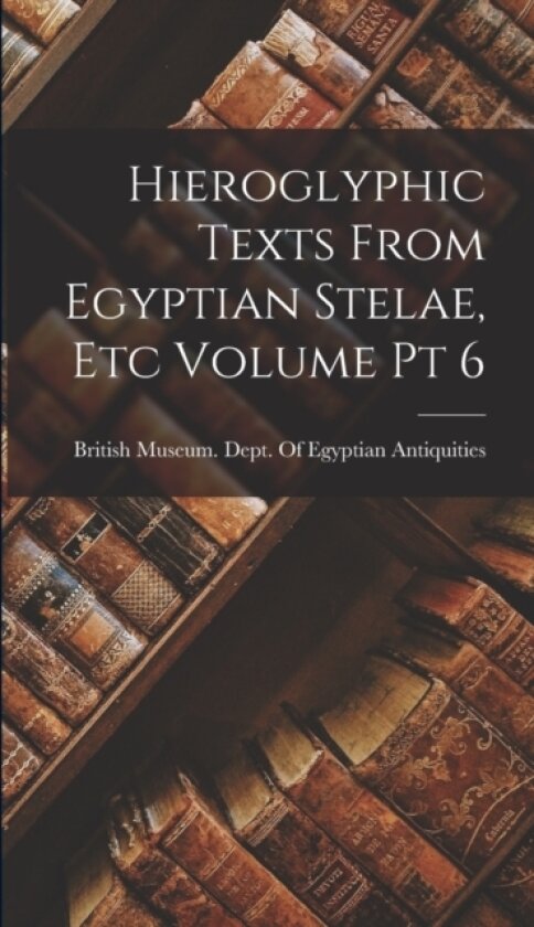 Hieroglyphic Texts From Egyptian Stelae, etc Volume pt 6 av British Museum Dept of Egyptian Ant (Hardcover)