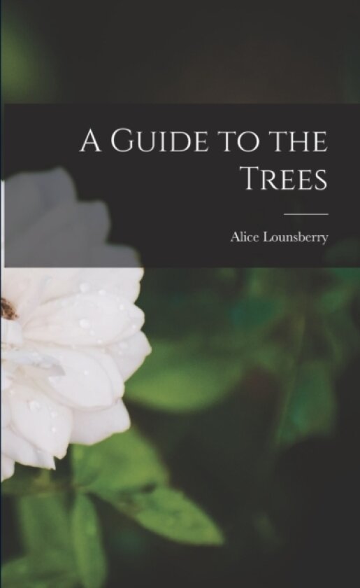 A Guide to the Trees av Alice Lounsberry (Paperback)