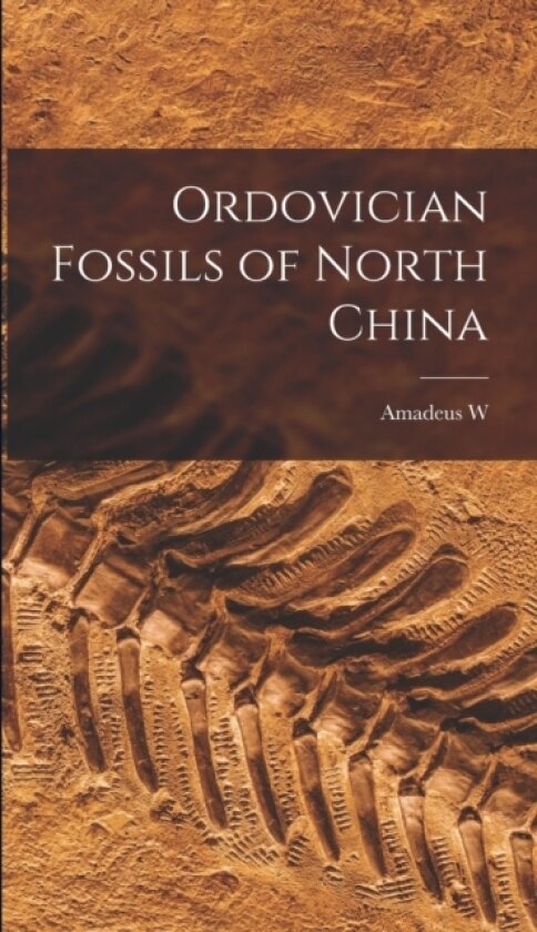 Ordovician Fossils of North China av Amadeus W 1870-1946 Grabau (Hardcover)