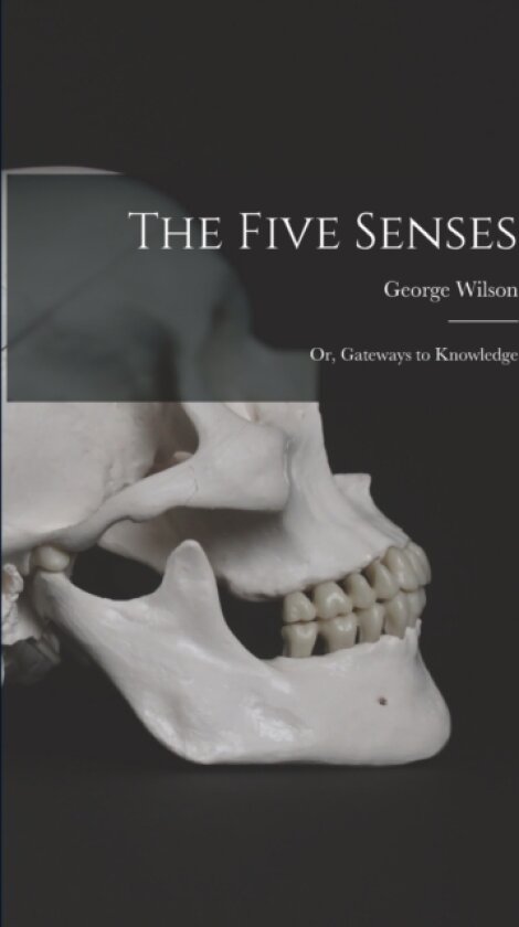 The Five Senses; or, Gateways to Knowledge av Wilson George 1818-1859 (Paperback)