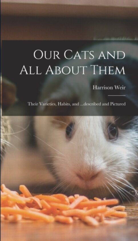 Our Cats and all About Them av Harrison Weir (Hardcover)