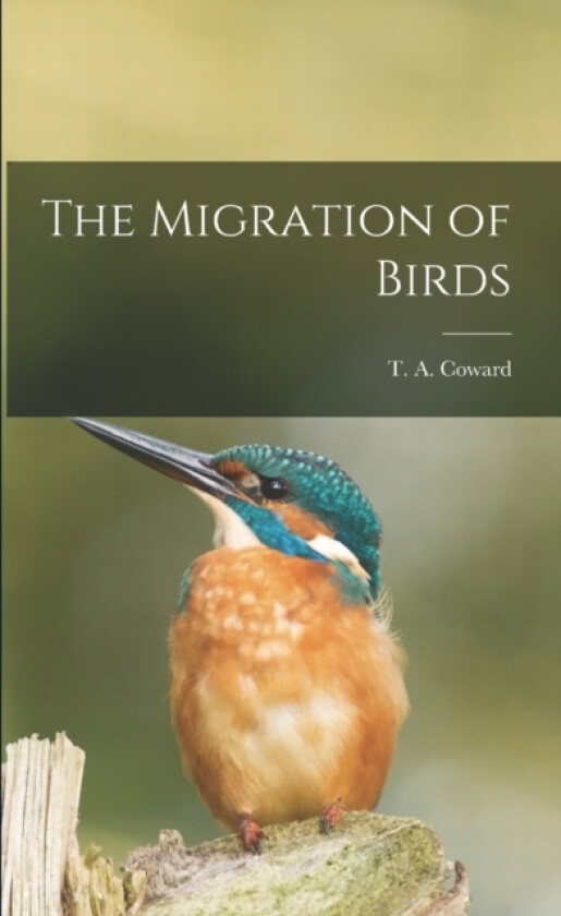 The Migration of Birds av T a Coward (Paperback)