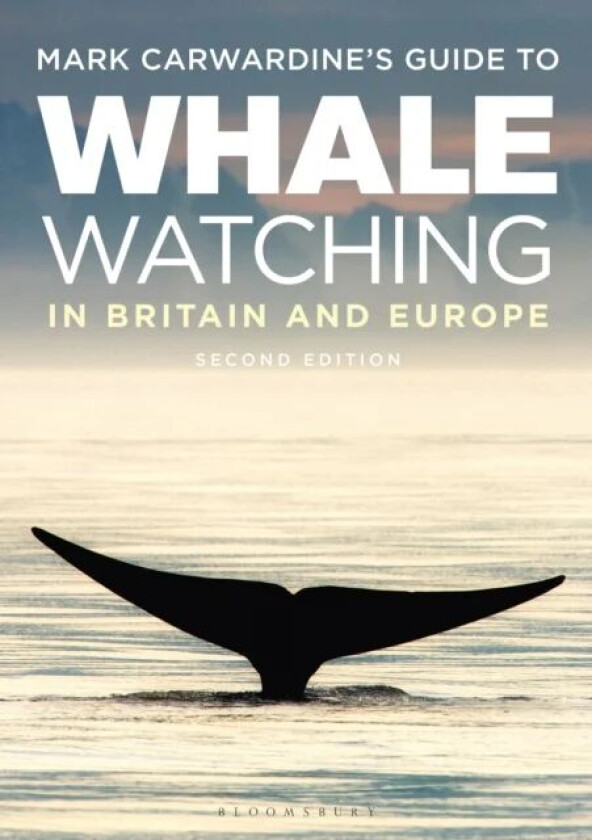 Mark Carwardine's Guide To Whale Watching In Britain And Europe av Mark Carwardine