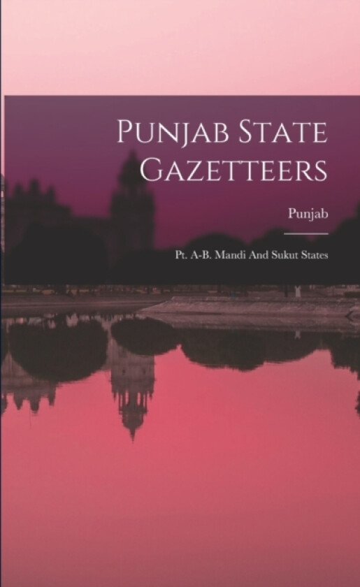 Punjab State Gazetteers av Punjab (Paperback)