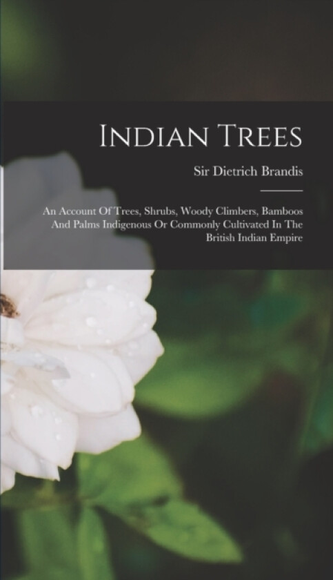 Indian Trees av Sir Dietrich Brandis (Hardcover)