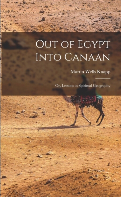 Out of Egypt Into Canaan av Martin Wells Knapp (Paperback)