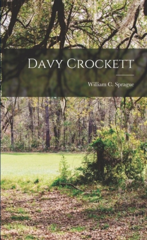 Davy Crockett av William C Sprague (Paperback)