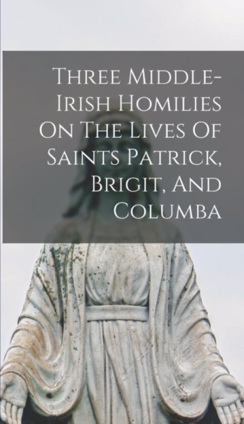 Three Middle-irish Homilies On The Lives Of Saints Patrick, Brigit, And Columba av Anonymous (Hardcover)