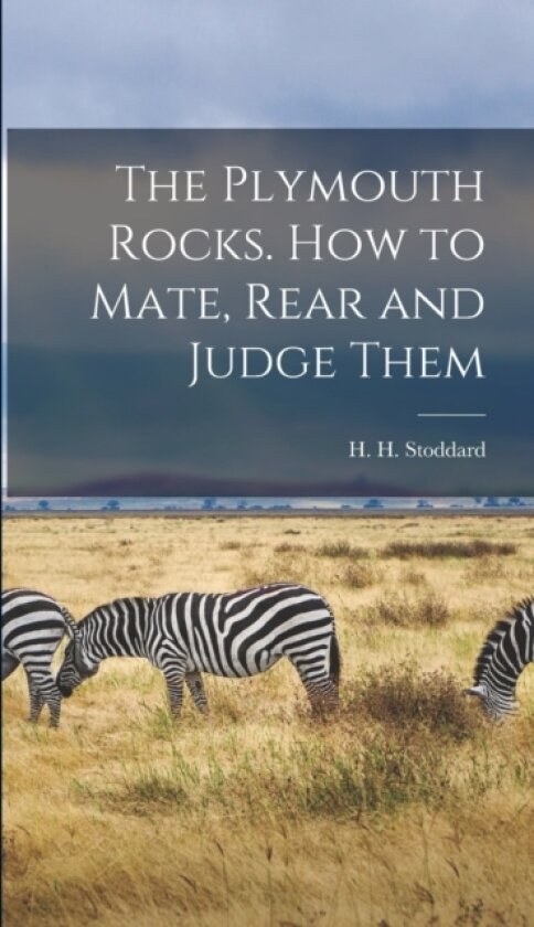 The Plymouth Rocks. How to Mate, Rear and Judge Them av H H Stoddard (Hardcover)