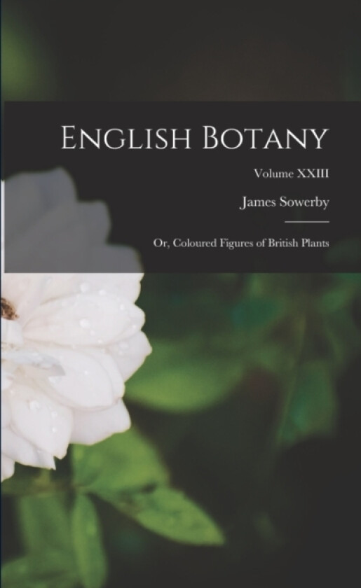 English Botany av James Sowerby (Paperback)
