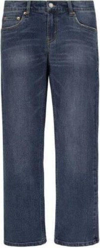 Bilde av Levi's - Bukse 551Z Jeans Straight El Train