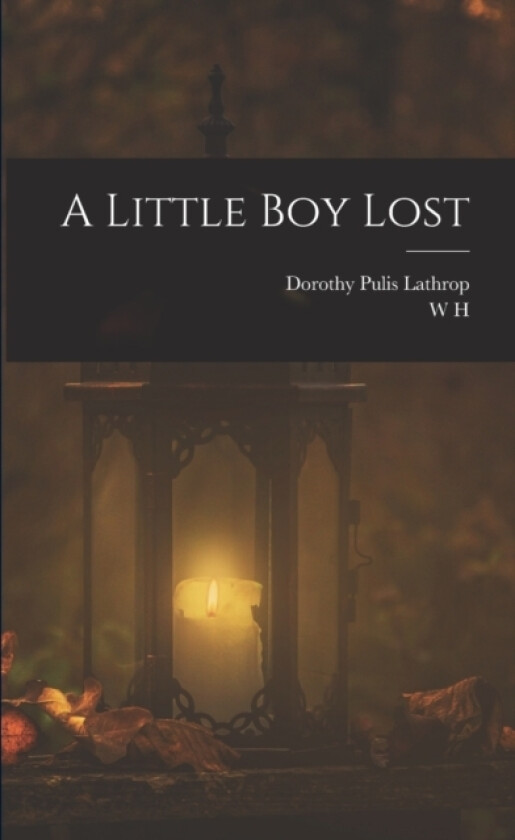 A Little boy Lost av W H 1841-1922 Hudson, Dorothy Pulis Lathrop (Paperback)