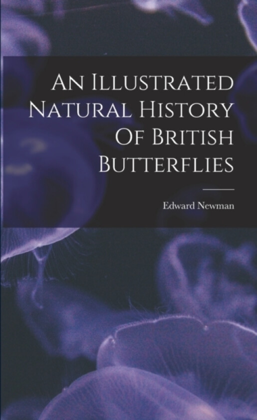 An Illustrated Natural History Of British Butterflies av Edward Newman (Paperback)