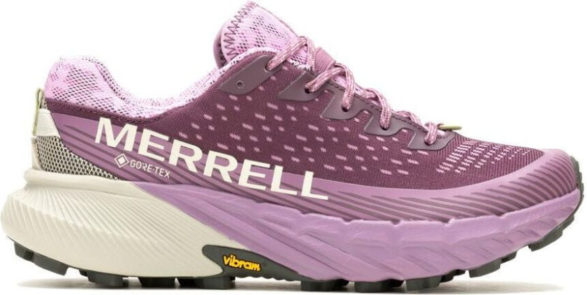 Agility Peak 5 Gtx Plumwine/mauve 40