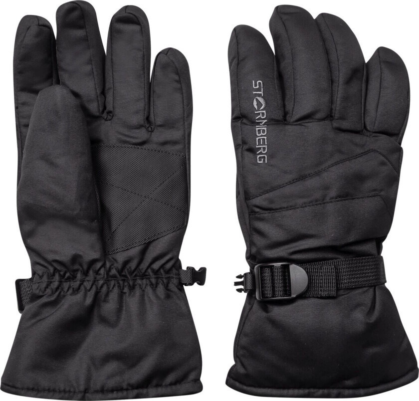 Alpine Gloves Vemdalen 23/24, skihanske, unisex Jet Black