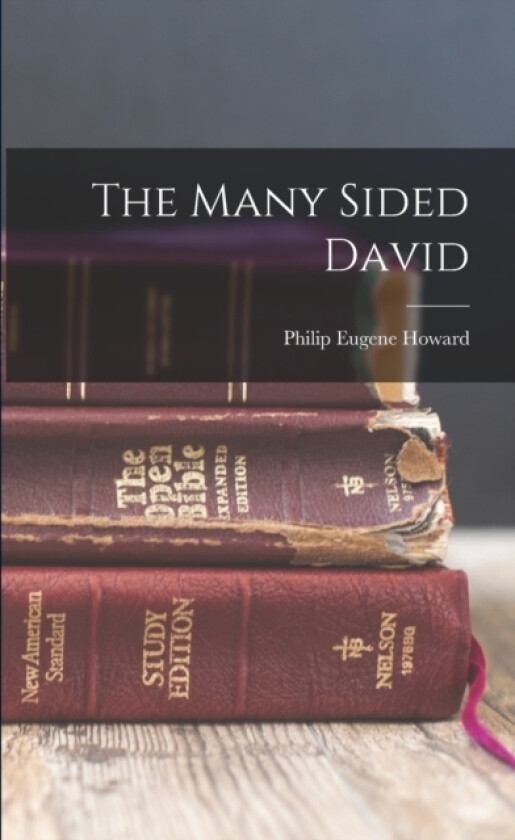 The Many Sided David av Philip Eugene Howard (Paperback)