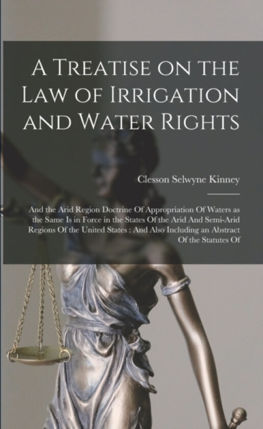 A Treatise on the law of Irrigation and Water Rights av Clesson Selwyne Kinney (Paperback)
