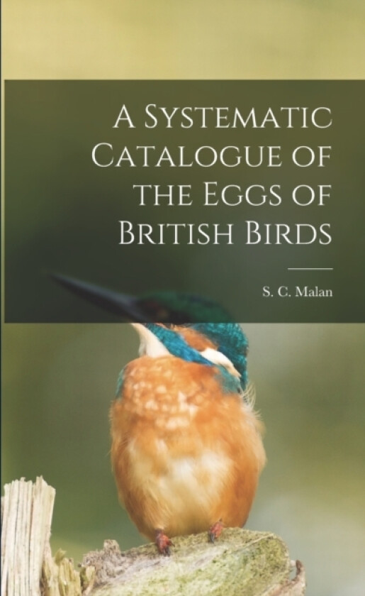 A Systematic Catalogue of the Eggs of British Birds av S C Malan (Paperback)