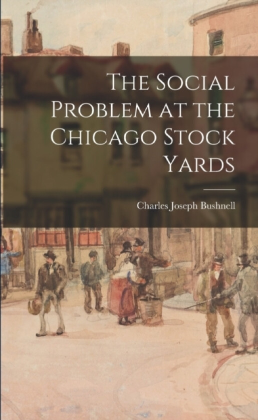 The Social Problem at the Chicago Stock Yards av Charles Joseph Bushnell (Paperback)