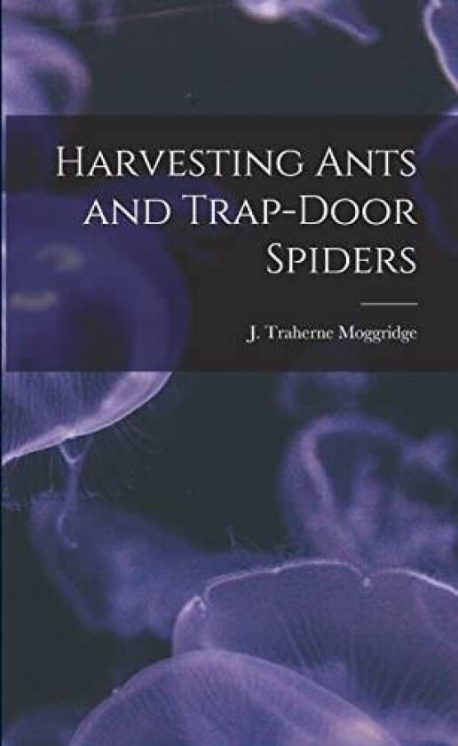 Harvesting Ants and Trap-door Spiders av J Traherne Moggridge (Paperback)