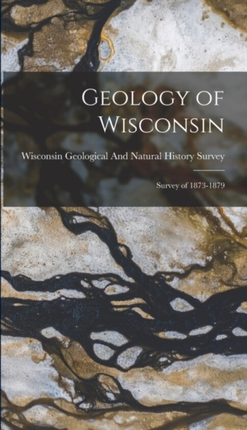 Geology of Wisconsin av Wisconsin Geological and Natural Hist (Hardcover)