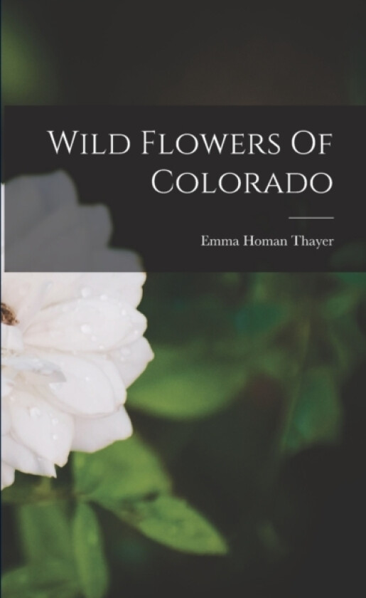 Wild Flowers Of Colorado av Emma Homan Thayer (Paperback)