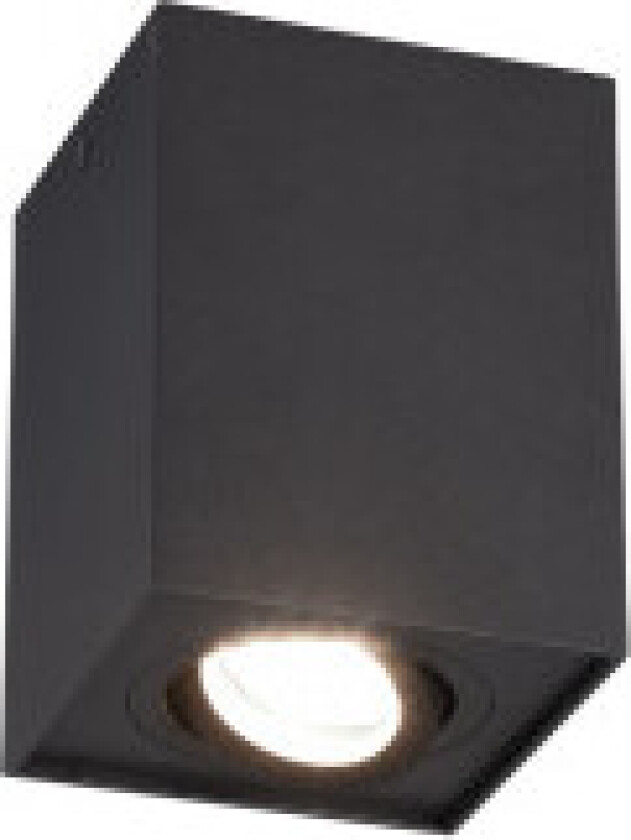 Biscuit taklampe, sort