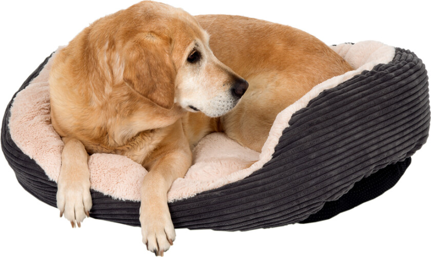 Koseseng Cozy Cord - L 51 x B 43 x H 15 cm