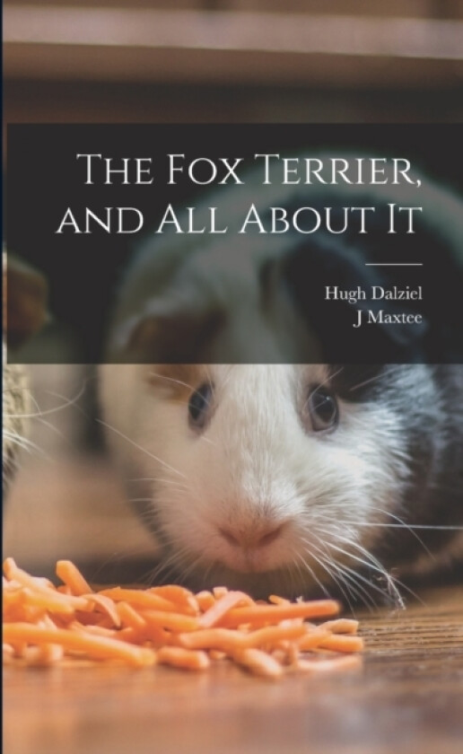 The Fox Terrier, and All About It av Hugh Dalziel, J Maxtee (Paperback)