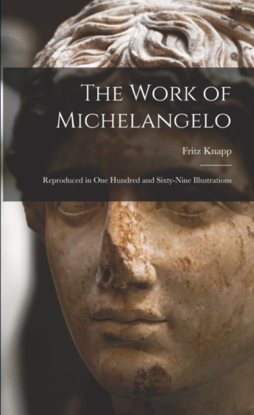 The Work of Michelangelo av Fritz Knapp (Paperback)