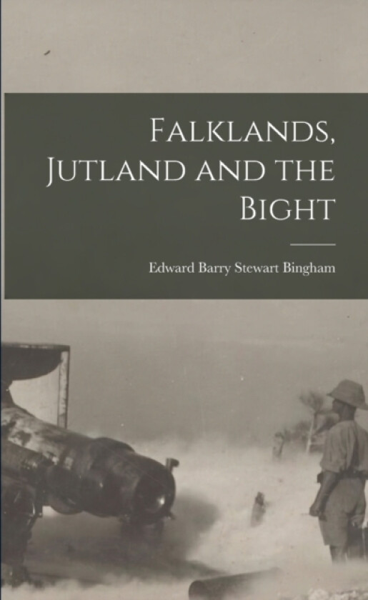 Falklands, Jutland and the Bight av Edward Barry Stewart Bingham (Paperback)