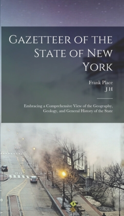 Gazetteer of the State of New York av Frank Place, J H 1824-1888 French (Hardcover)