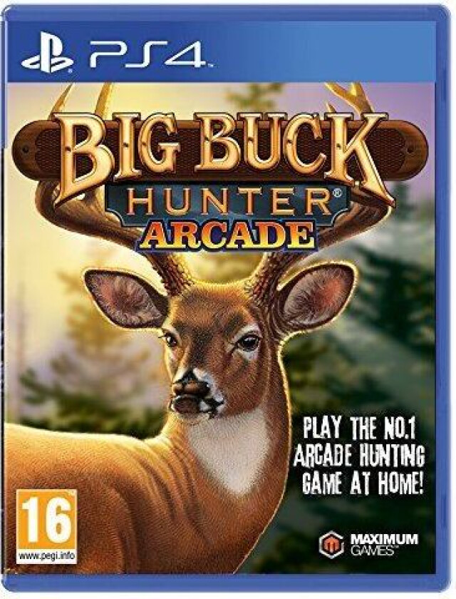 Big Buck Hunter Arcade
